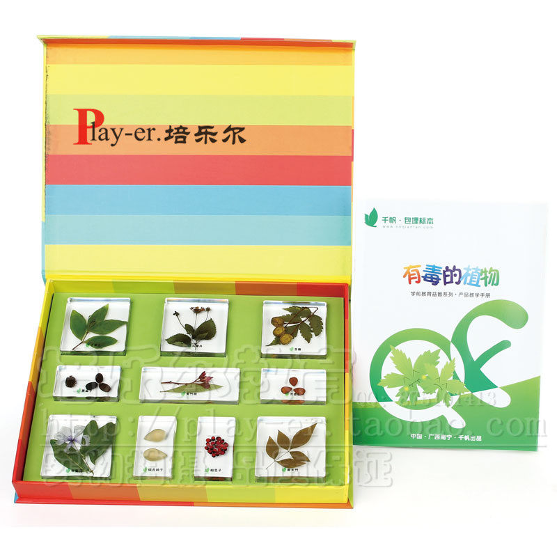 有毒的植物幼儿园儿童科学实验室认识10种有毒的植物标本包埋标本