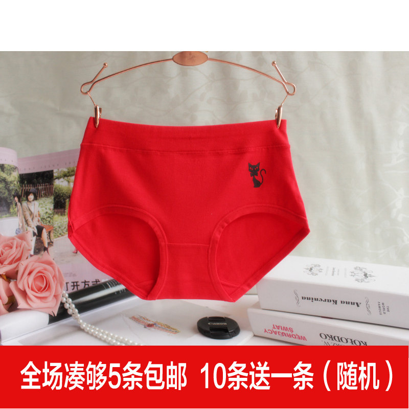 Slip jeunesse simple en coton - Ref 653112 Image 1