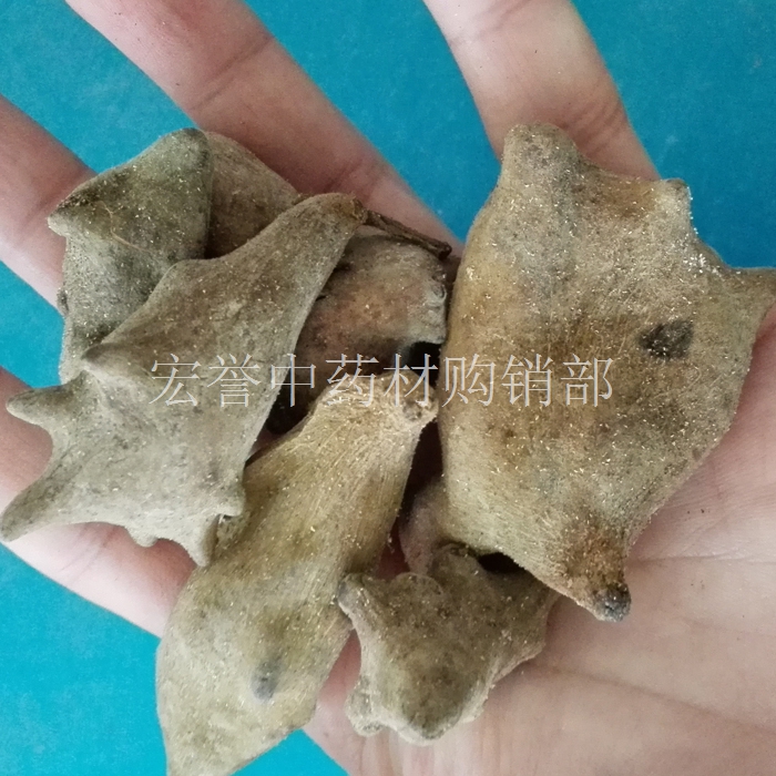 五倍子 中药材角倍 肚倍 百虫仓 百药煎棓子 500克 正品