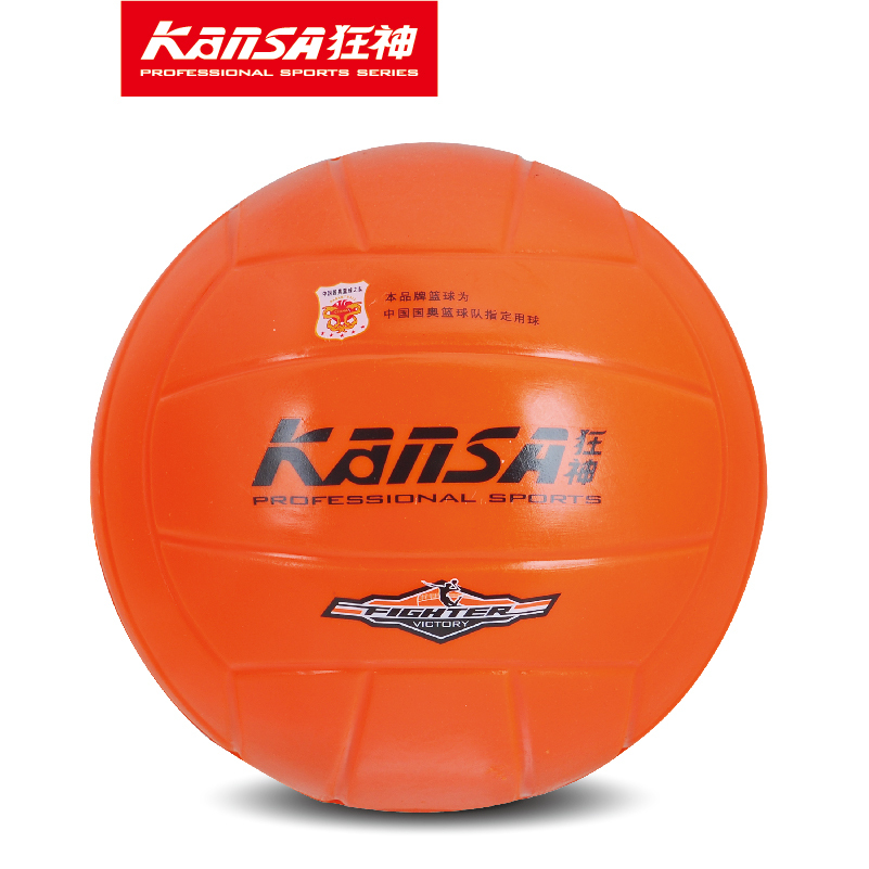 Ballon de volley-ball - Ref 2016730 Image 1
