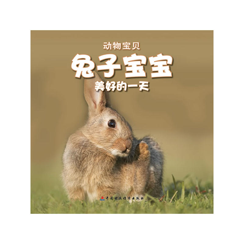兔宝宝美好的一天