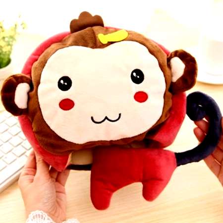 Coussin chauffant USB Le Japon et la Corée du Sud - Ref 427341 Image 1