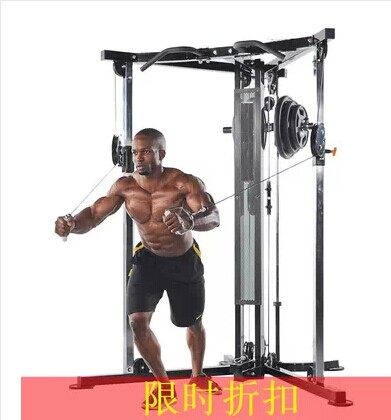 豪华双拉大飞鸟训练器引体向上