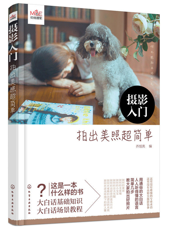 摄影入门 拍出美照超简单 摄影技术基本知识轻松初级入门书籍单反数码拍摄教程拍照大全技巧蚂蚁摄影微单教学食物家庭商业静物构图怎么看?