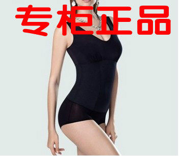 Sous-vêtement minceur - Ref 709029 Image 1