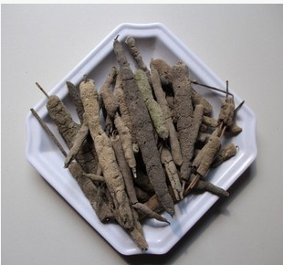 中药材 紫稍花 紫霄花250克 紫梢花/淡水海绵特包邮