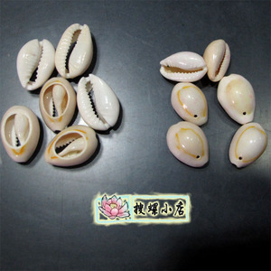 串珠计数器专用/切片/打孔的贝壳/满150元包邮