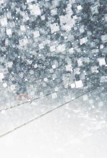 Crystal o... The Other Notes and 预售 Coffin