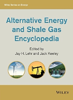 【预订】Alternative Energy and Shale Gas Enc...