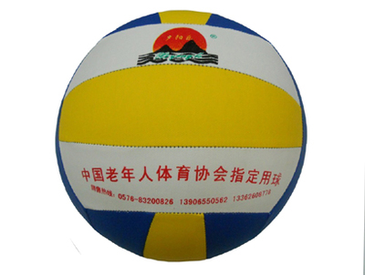 Ballon de volley - Ref 2013322 Image 1