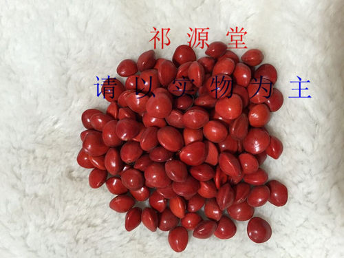 菩提子相思马来西亚无孔海红豆