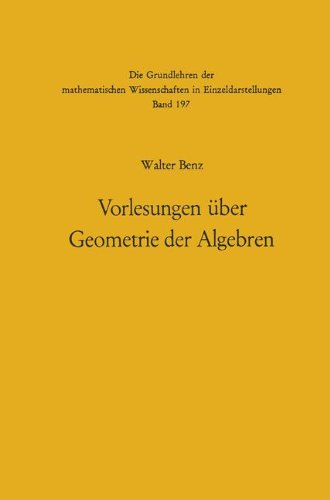 【预订】Vorlesungen Uber Geometrie Der Algeb... 书籍/杂志/报纸 原版其它 原图主图