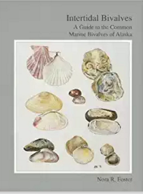 【预订】Intertidal Bivalves Intertidal Bival...