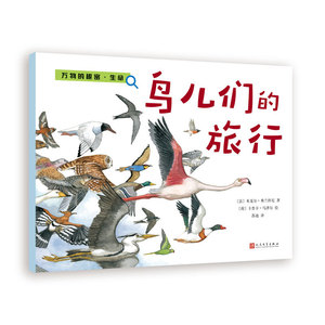 鸟儿们的旅行 书店 米夏尔·弗兰科尼 儿童小说书籍 书 畅想畅销书