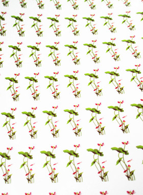 浮漂材料 浮漂DIY 浮漂印花图案 水转印贴图 可以按要求定做