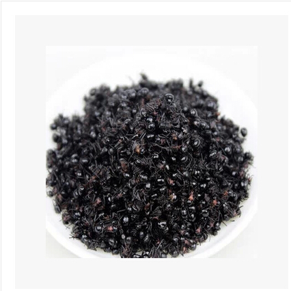 云南黑蚂蚁干大蚂蚁特产山蚁拟黑多刺蚁500g包邮