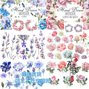 唯美水彩手绘植物花卉插画绘本花朵叶子图案合集 PNG免扣设计素材