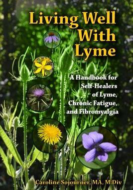 【预售】Living Well with Lyme: A Handbook fo...
