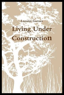 Construction 预售 Living Under