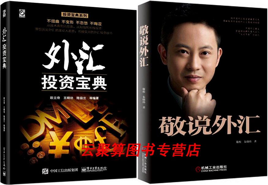 外汇投资宝典+敬说外汇 外汇交易进阶 外汇书籍 外汇交易书籍教程 股票外汇市场 外汇交易书籍 畅销书 经济管理 金融投资理财书籍