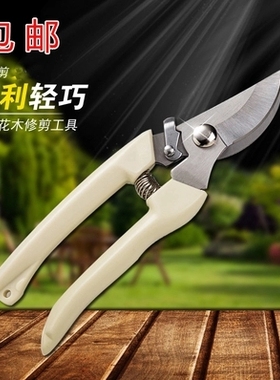 园艺修枝剪 摘果剪 园林园艺剪刀树枝剪 花枝剪 枝剪果修花枝剪刀
