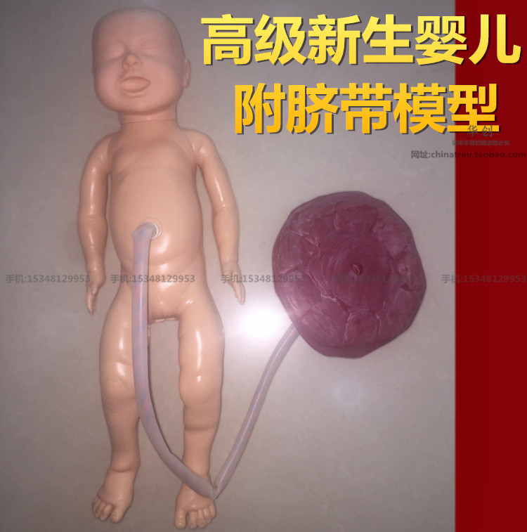 高级出生婴儿附脐带模型,满月足月新生儿护理模拟月嫂家政培训