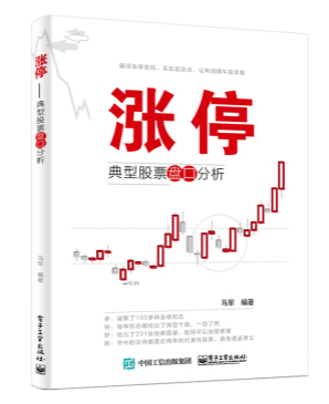 涨停 典型股票盘口分析 股票投资理财实战指南 新手炒股入门教程 涨停密码教程书 涨停板战法 牛股涨停密码 涨停绝杀 旷氏文豪