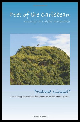 美国库房发货，通常付款后5-8周到货！