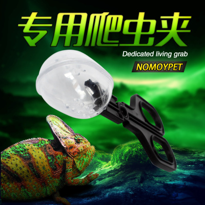 爬虫饲养箱清洁夹子陆龟鬃师绿鬣蜥粪便夹玫瑰蜘蛛蟑螂蟋蟀夹