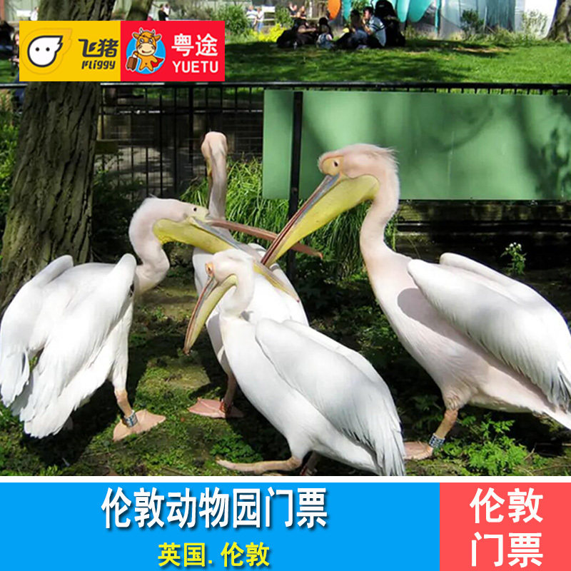[伦敦动物园-大门票]英国伦敦动物园门票london zoo