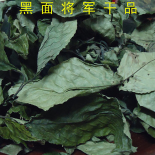 正宗马来西亚黑面将军干品脆叶马兰干叶地毯草大叶蛇草化石草干叶