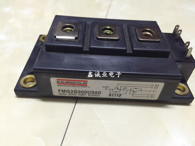 FMG2G300US60 FMG2G400US60 FMG2G300US60E