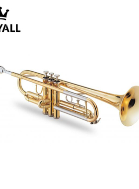 【ROYALL】小号 JTR-408 L