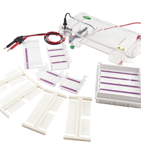 君意东方 JY-SPCT型水平电泳槽 配件
