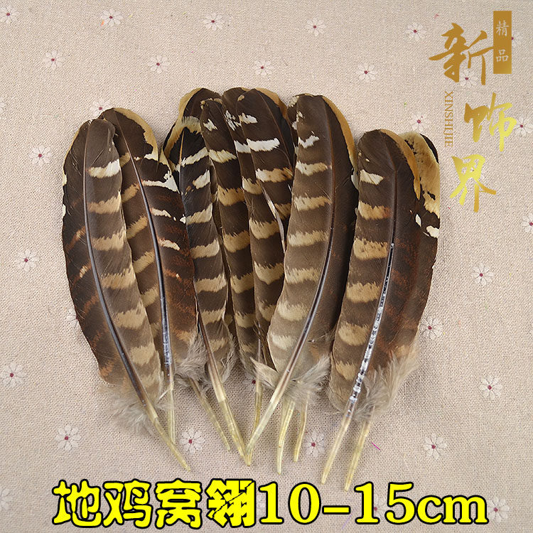 diy天然工艺羽毛野山鸡羽毛母山鸡窝翎羽毛装饰羽毛舞台道具
