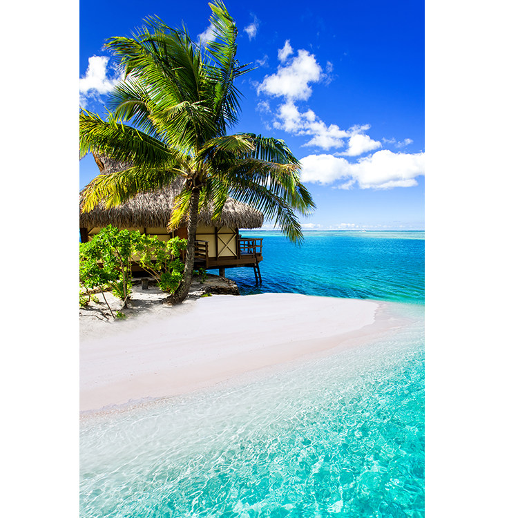 大海风景画订做海边风景挂画蓝天白云沙滩椰树海报自然风光装饰画