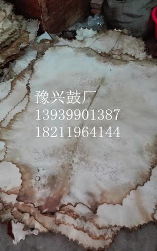 洛阳产品，出口国外。特别适合做非洲手鼓。有带毛的羊皮，也有不带毛的羊皮。