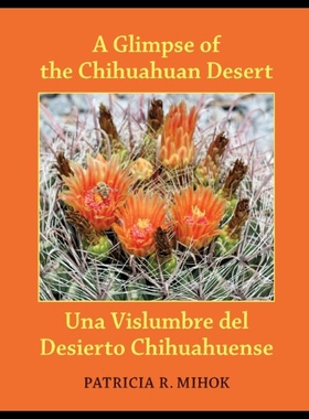 【预售】A Glimpse of the Chihuahuan Desert: Una Vislumbre