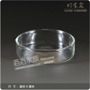 水晶虾苏观赏虾鳌虾天空虾食盆小号直径6厘米玻璃皿透明高品质