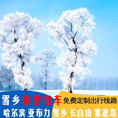 哈尔滨雪乡旅游包车亚布力长白山雾凇岛代订东北漠河旅游包车游