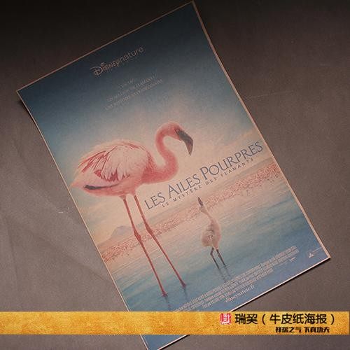 法国纪录片 红色翅膀海报火烈鸟故事 the crimson wing flamingos