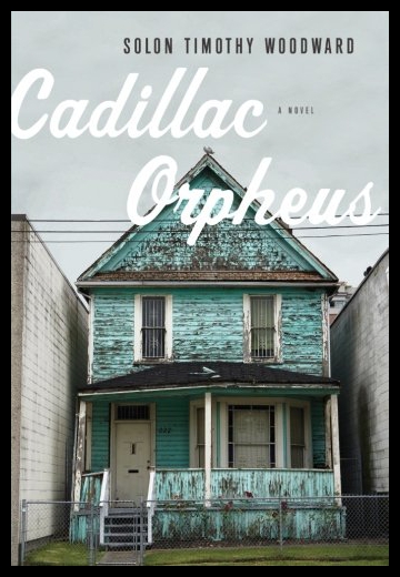 美国库房发货，通常付款后5-8周到货！