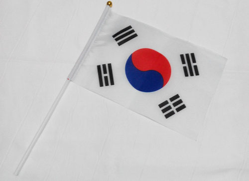 韩国8号手摇旗 世界各国国旗 小彩旗 手挥旗 14*21cm