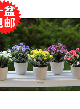 米兰花高仿真迷你植物盆栽