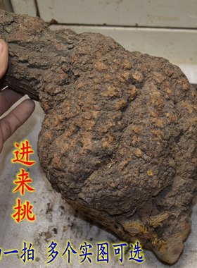 麻梨疙瘩原料阴干陈年老料鼠李木火琉璃北京手串烟斗弹弓葫芦钱袋