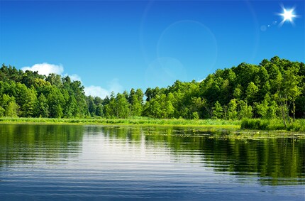 包邮碧水蓝天山水绿色森林聚宝盆林业园林自然风景精美墙壁装饰画