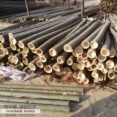 粗竹竿大毛竹杆 菜园搭架竹竿 竹子旗杆围栏 装饰竹防腐上色加工