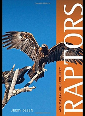 【预售】Australian High Country Raptors