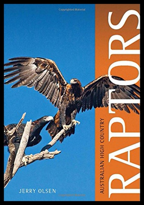【预售】Australian High Country Raptors