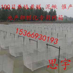 渔网网箱100目养殖黄鳝 泥鳅 催产池产卵孵化专用网箱 育苗鱼网箱